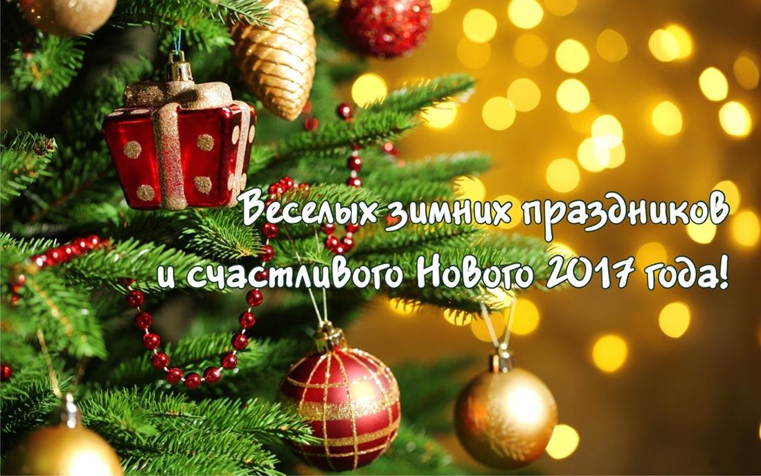 С Новым 2017 годом!
